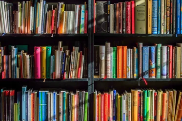 Bücher-Regal