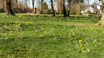 Goethepark im Frühling