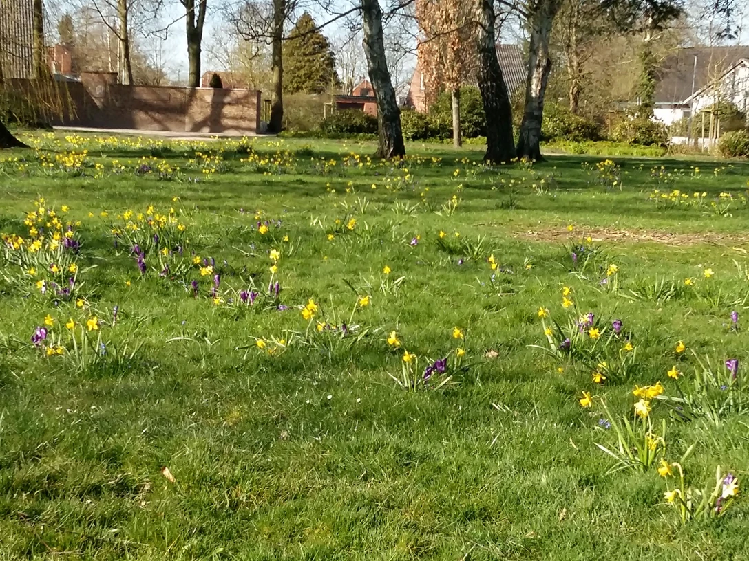 Goethepark im Frühling
