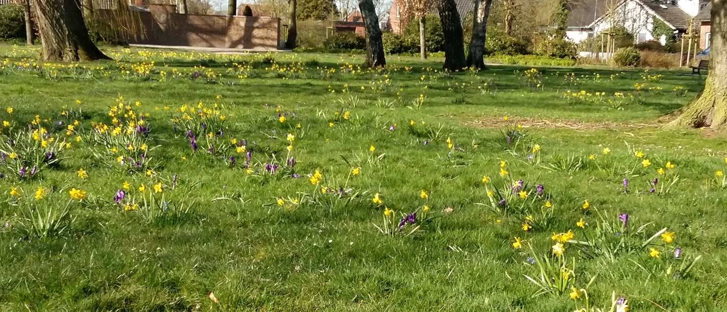 Goethepark im Frühling