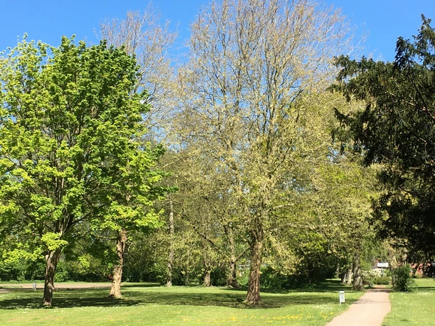 Stöfenpark