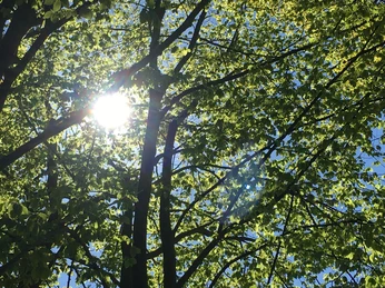 Stöfenpark im Frühjahr