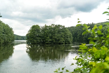 Wiehltalsperre Krombacherinsel Eine ruhige Seeoberfläche mit dicht bewaldeter Insel unter bewölktem Himmel in natürlicher Umgebung.