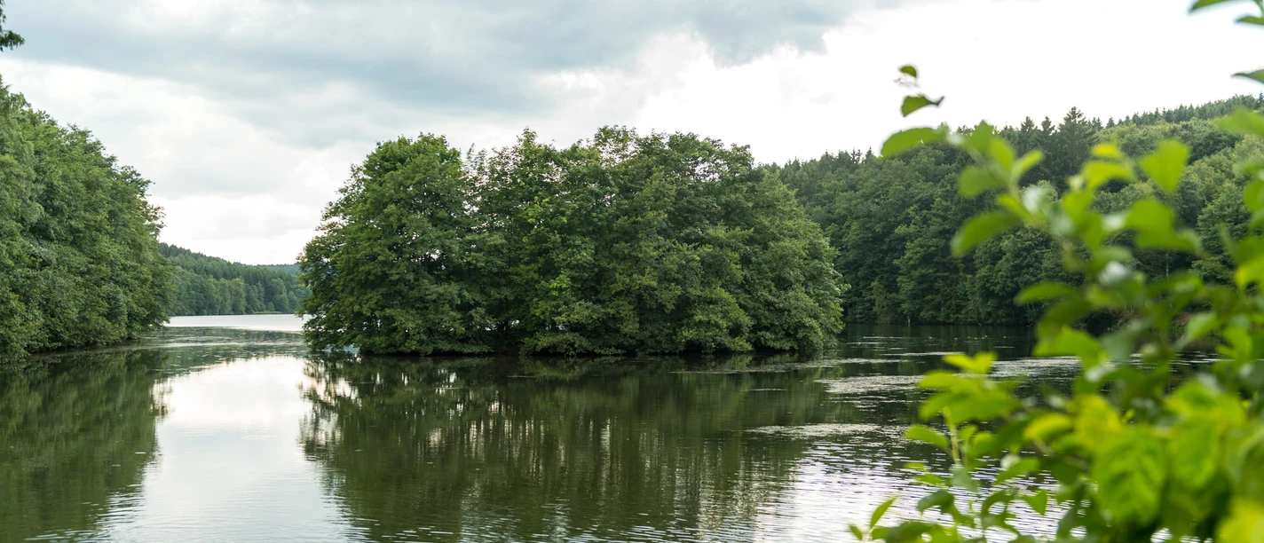Wiehltalsperre Krombacherinsel Eine ruhige Seeoberfläche mit dicht bewaldeter Insel unter bewölktem Himmel in natürlicher Umgebung.