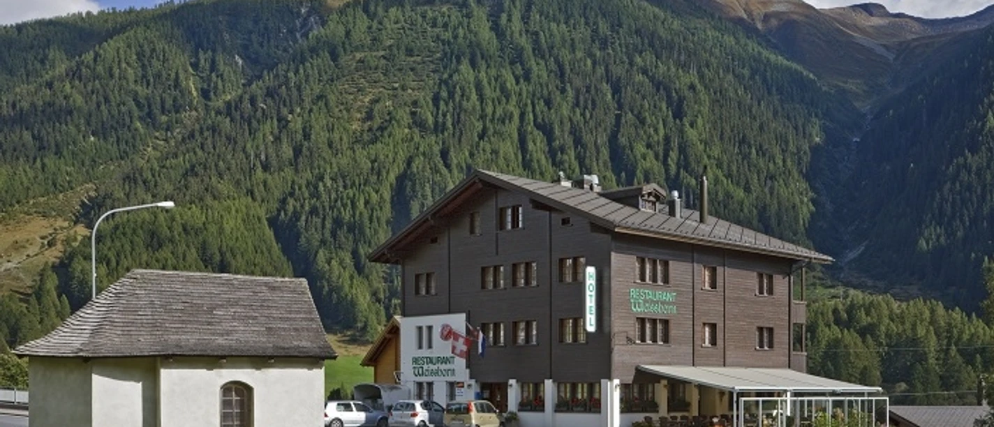 Hotel Weisshorn.jpg