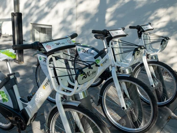 2021 Frühling Wachtberg 2021 Frühling Wachtberg