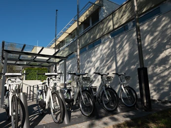 2021 Frühling Wachtberg 2021 Frühling Wachtberg