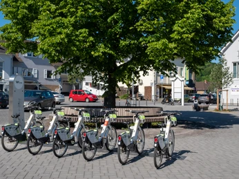 2021 Frühling Wachtberg 2021 Frühling Wachtberg