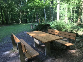 Ruhebank Eiche Oma und Opa.jpg