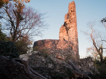 Turmreste Tomburg