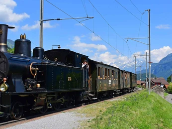 bruenig-dampfbahn-unterwegs-brienz-sommer.jpg