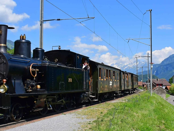 bruenig-dampfbahn-unterwegs-brienz-sommer.jpg