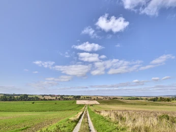 Ruhebank nördlich von Groß Denkte mit Ausblick Richtung Wendessen, Wolfenbüttel, Ahlum, Nördliches Harzvorland, Niedersachsen, Deutschland Ruhebank nördlich von Groß Denkte mit Ausblick Richtung Wendessen, Wolfenbüttel, Ahlum, Nördliches Harzvorland, Niedersachsen, DeutschlandBench north of Groß Denkte with view towards Wendessen, Wolfenbüttel, Ahlum, Northern Harz Foreland, Lower Saxony, GermanyBænk nord for Groß Denkte med udsigt mod Wendessen, Wolfenbüttel, Ahlum, Nordharzen, Niedersachsen, TysklandBank ten noorden van Groß Denkte met uitzicht op Wendessen, Wolfenbüttel, Ahlum, Noordelijk Harz Voorland, Nedersaksen, Duitsland