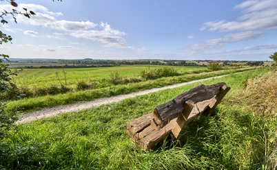 Ruhebank nördlich von Groß Denkte mit Ausblick Richtung Wendessen, Wolfenbüttel, Ahlum, Nördliches Harzvorland, Niedersachsen, Deutschland Ruhebank nördlich von Groß Denkte mit Ausblick Richtung Wendessen, Wolfenbüttel, Ahlum, Nördliches Harzvorland, Niedersachsen, Deutschland