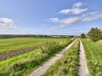 Ruhebank nördlich von Groß Denkte mit Ausblick Richtung Wendessen, Wolfenbüttel, Ahlum, Nördliches Harzvorland, Niedersachsen, Deutschland Ruhebank nördlich von Groß Denkte mit Ausblick Richtung Wendessen, Wolfenbüttel, Ahlum, Nördliches Harzvorland, Niedersachsen, DeutschlandBench north of Groß Denkte with view towards Wendessen, Wolfenbüttel, Ahlum, Northern Harz Foreland, Lower Saxony, GermanyBænk nord for Groß Denkte med udsigt mod Wendessen, Wolfenbüttel, Ahlum, Nordharzen, Niedersachsen, TysklandBank ten noorden van Groß Denkte met uitzicht op Wendessen, Wolfenbüttel, Ahlum, Noordelijk Harz Voorland, Nedersaksen, Duitsland