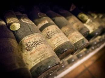 Alde Gott Winzer Kellereifuehrung Alte Weinflaschen Alde Gott Winzer Kellereifuehrung Alte Weinflaschen