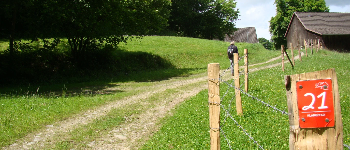 Klangpfad in Nümbrecht <p>Wanderer auf einem ländlichen Weg in Nümbrecht, umgeben von Weiden und Bäumen unter bewölktem Himmel.</p>