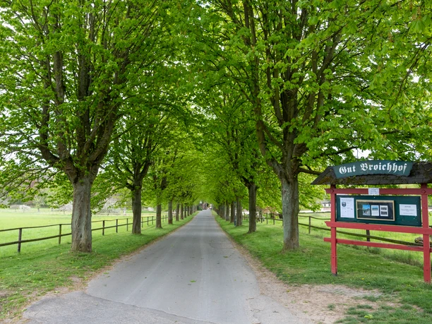 Zufahrt Broichhof 2020 Frühling Wachtberg