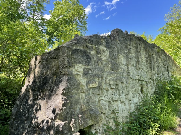 Asseburg Ruine IMG_5524.jpg