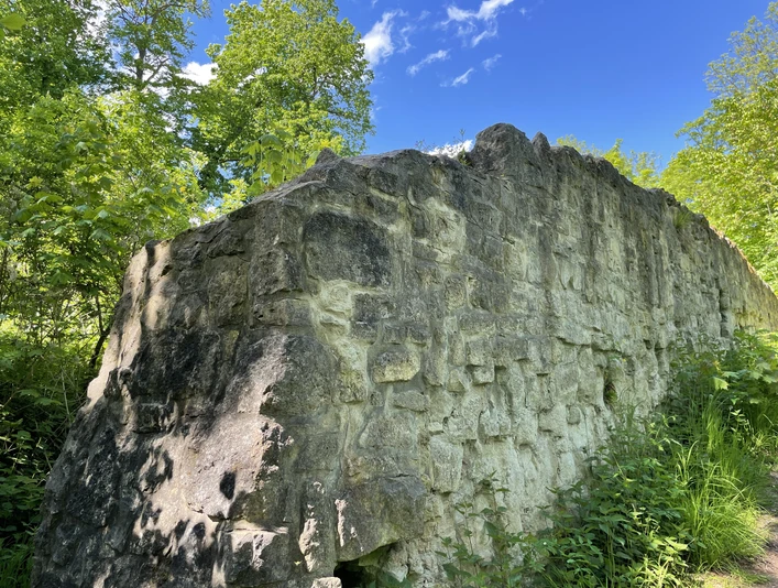 Asseburg Ruine IMG_5524.jpg