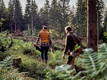 3D-Bogenparcours in Clausthal-Zellerfeld 3D-Bogenparcours in Clausthal-Zellerfeld