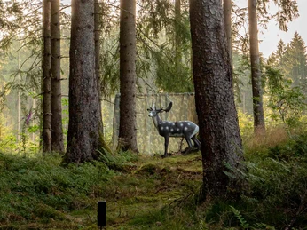 3D-Bogenparcours in Clausthal-Zellerfeld 3D-Bogenparcours in Clausthal-Zellerfeld