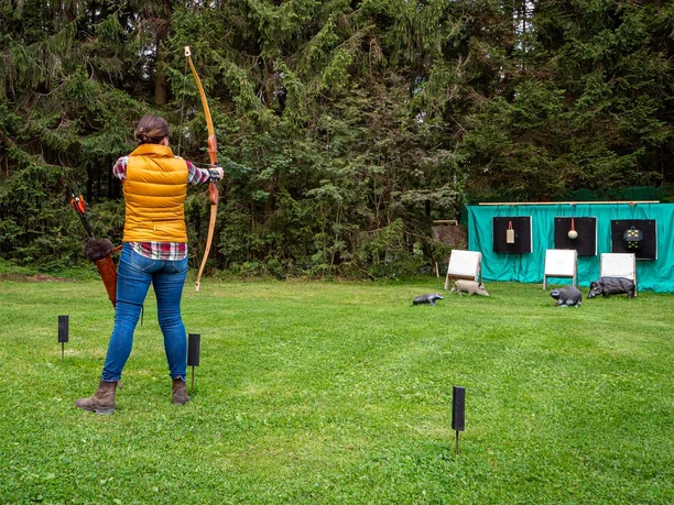 3D-Bogenparcours in Clausthal-Zellerfeld - Wiese 3D-Bogenparcours in Clausthal-Zellerfeld - Wiese