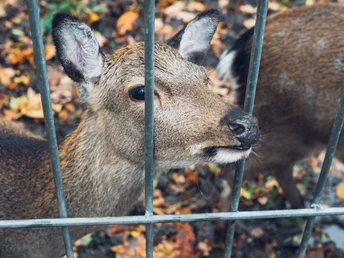 BMA00211.jpg BMA00211.jpg