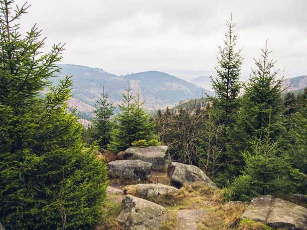 kaesteklippen-bad-harzburg