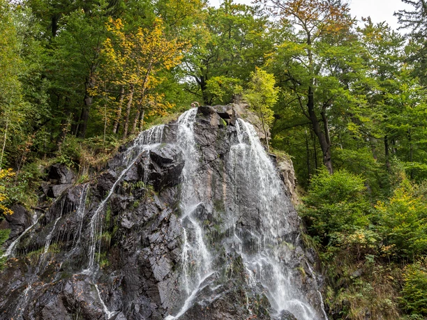 Drei-Täler-Tour Themenwanderweg Bad Harzburg Wandern im Harz Baumwipfelpfad - Radauwasserfall - Eckertalsperre 04.jpg