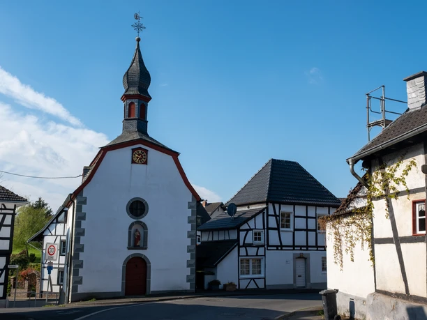 2021 Frühling Wachtberg 2021 Frühling Wachtberg
