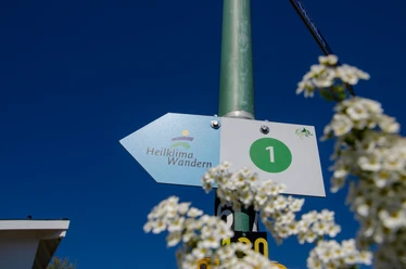 Heilklimaweg 1 Wegweiser für "Heilklima Wandern" mit blühenden Zweigen im Vordergrund vor blauem Himmel.