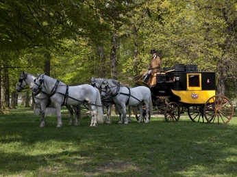 Reiseberline im Einsatz