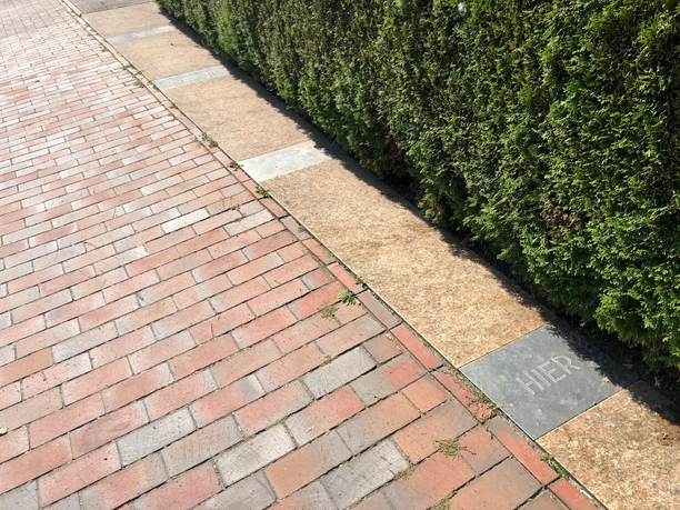 A paved area next to a hedge, made of square stones, one of which is engraved with the word "Here."
