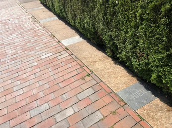 Synagoge Hoya Eine gepflasterte Fläche neben einer Hecke mit quadratischen Steinen, einer mit der Gravur "Hier".