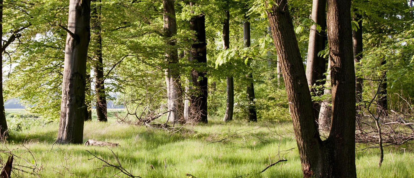 Der Gesundheitspfad 2 in Bad Essen