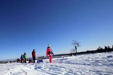 Familie mit Kindern auf Schlitten wandert auf dem Ettelsberg Familie mit Kindern auf Schlitten wandert auf dem Ettelsberg