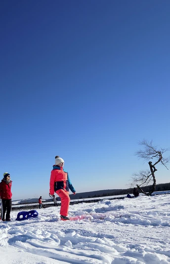 Familie mit Kindern auf Schlitten wandert auf dem Ettelsberg Familie mit Kindern auf Schlitten wandert auf dem Ettelsberg