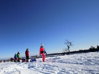 Familie mit Kindern auf Schlitten wandert auf dem Ettelsberg Familie mit Kindern auf Schlitten wandert auf dem Ettelsberg