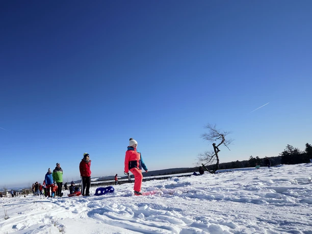 Familie mit Kindern auf Schlitten wandert auf dem Ettelsberg Familie mit Kindern auf Schlitten wandert auf dem Ettelsberg