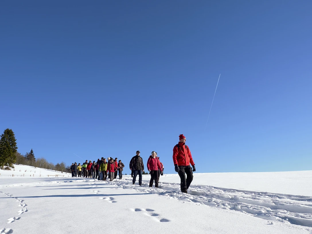 wandergruppe-winter-schnee c) wolfgang-detemple-tourist-info-willingen.jpg