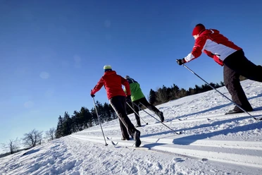 Langläufer bei Sonnenschein auf dem Ettelsberg Langläufer bei Sonnenschein auf dem Ettelsberg