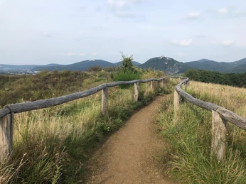 Naturschutzgebiet Rodderberg