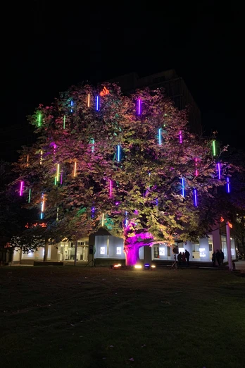 Baum der Wünsche.JPG