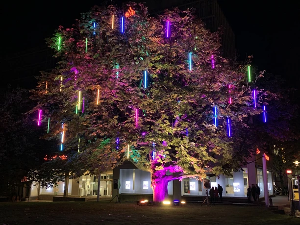 Baum der Wünsche.JPG