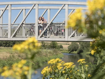 Leineufer am Leine-Heide-Radweg Blick durch Blumen auf eine Brücke am Leineufer am Leine-Heide-Radweg