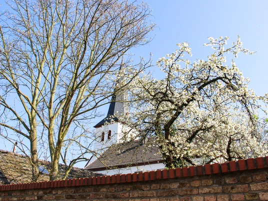 Kath. Kirche St. Markus 2021 Frühling Bornheim