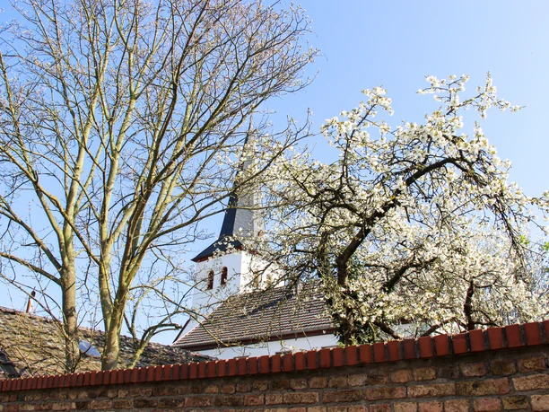 Kath. Kirche St. Markus 2021 Frühling Bornheim