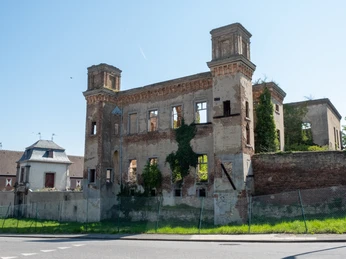 Burgruine Straßenansicht 2021 Frühling Bornheim