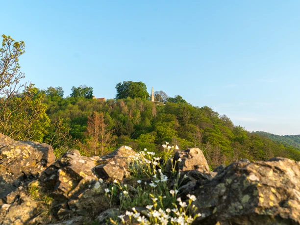 canossa-saeule-bad-harzburg